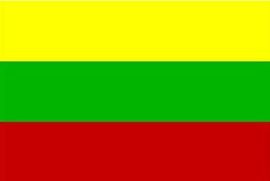 FLAG (91 x 152) cm LITHUANIA